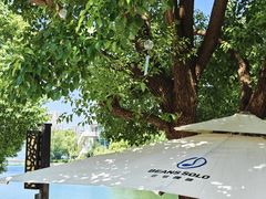-Beans Solo豆号咖啡(百家湖花园店)