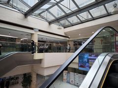 -上海中医药大学附属曙光医院(东部)