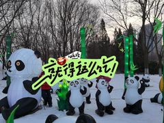 -沈阳奥体冰雪嘉年华