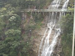 -九龙江国家森林公园