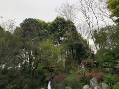 -青城道汤池