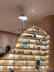 -奈尔宝家庭中心·亲子餐厅(宝安店)