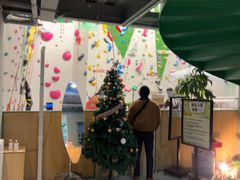 -绿壁虎攀岩基地(Tcar店)