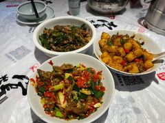 -壹盏灯(惠农店)