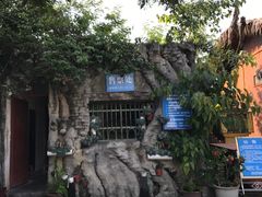 门面-瑞丽独树成林风景区