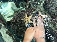 -新加坡海洋生态馆