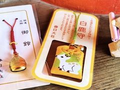 -奈良公园