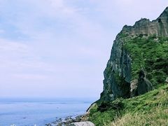 -涉地可支