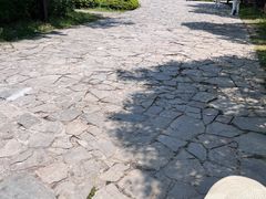 -苏州太湖国家湿地公园