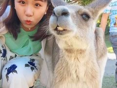 -可伦宾野生动物保护区