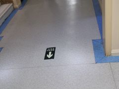 -喜多萌中农锦绣动物医院24H·猫科·牙科MRI·CT