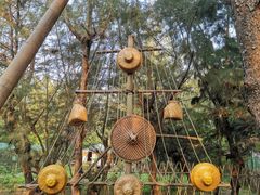 -北海金海湾红树林生态旅游区