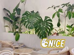 -Fruiffee Cafe 果啡派