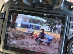 -东海岸人工湖美食村