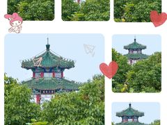 -北京西山国家森林公园