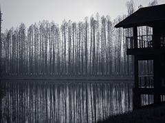 -黄海国家森林公园