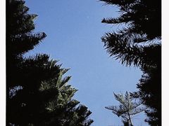 -广州珠江公园