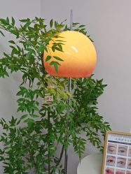 -变美丽半永久纹眉连锁·机器野生眉·洗眉
