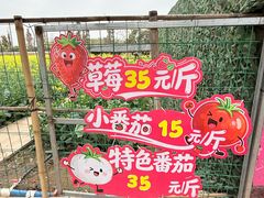 -长廊欢乐园