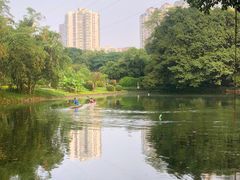 -晓港公园