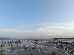 -长江澳风力发电景观区