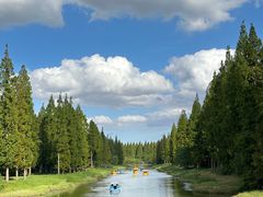 -黄海国家森林公园