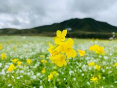 -扁都口生态休闲旅游区