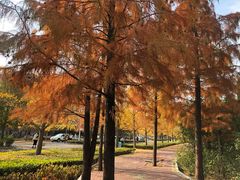 -山东科技大学（青岛校区）-图书馆