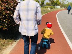 -上海长兴岛郊野公园