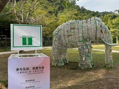 -野象谷景区