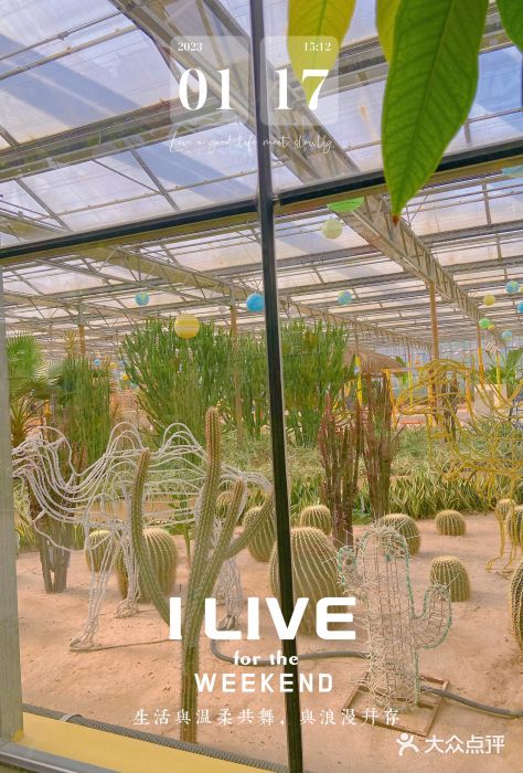 南宫五洲植物乐园图片