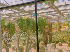 -南宫五洲植物乐园