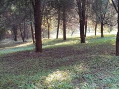 -秦始皇帝陵博物院(兵马俑)