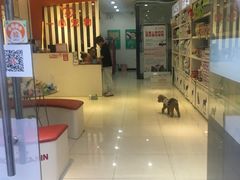 -创凡宠物医院·骨专科  猫科中心(西乡分院)
