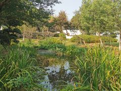 -武汉紫薇都市田园