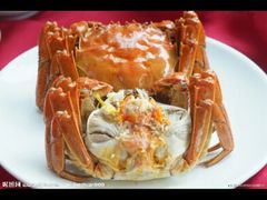 阳澄湖大闸蟹-宜宾海鲜酒家·三十年老字号