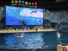 -泉城欧乐堡海洋极地世界