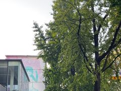 -奎星楼街