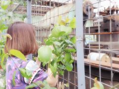 -广州市紫泥堂文化创意园景区