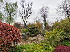 -铁山坪森林公园