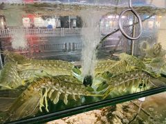 -凯华海鲜火锅·传承三十六年