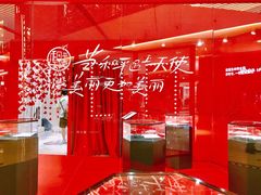 -梅龙镇广场