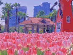 -厦门园林博览苑