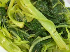 -新陶陶酒家