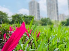 -那考河湿地公园
