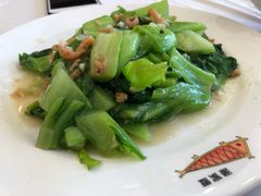 -京北渔家傲