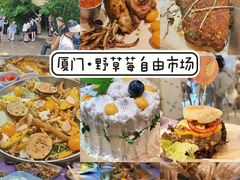-野草莓自由市场