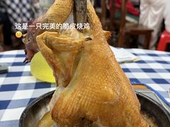 -洞密园美食城(富华路店)