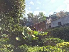 -广州市帽峰山景区