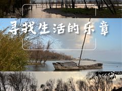 -洱海月湿地公园